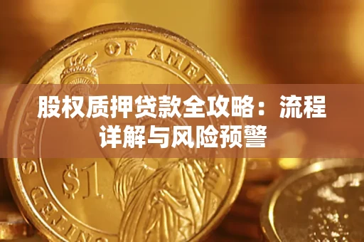 武汉股权质押贷款全攻略：流程详解与风险预警