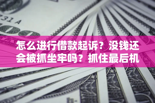 武汉怎么进行借款起诉？没钱还会被抓坐牢吗？抓住最后机会！