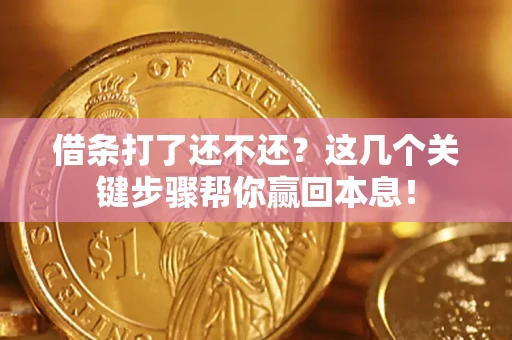 武汉借条打了还不还？这几个关键步骤帮你赢回本息！
