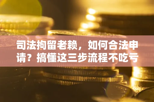 武汉司法拘留老赖，如何合法申请？搞懂这三步流程不吃亏！
