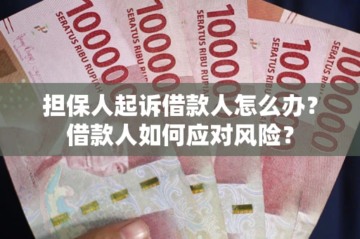 武汉担保人起诉借款人怎么办？借款人如何应对风险？
