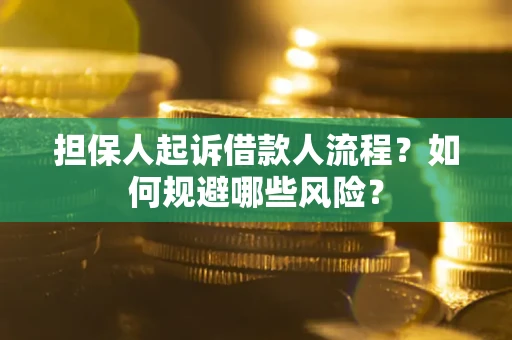 武汉担保人起诉借款人流程？如何规避哪些风险？