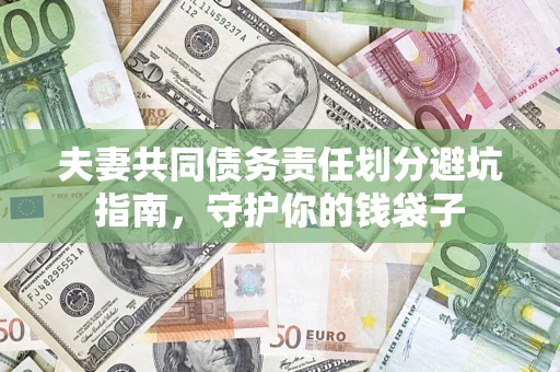 武汉夫妻共同债务责任划分避坑指南，守护你的钱袋子