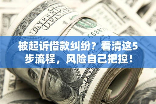 武汉被起诉借款纠纷？看清这5步流程，风险自己把控！