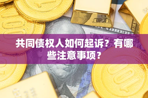 武汉共同债权人如何起诉？有哪些注意事项？